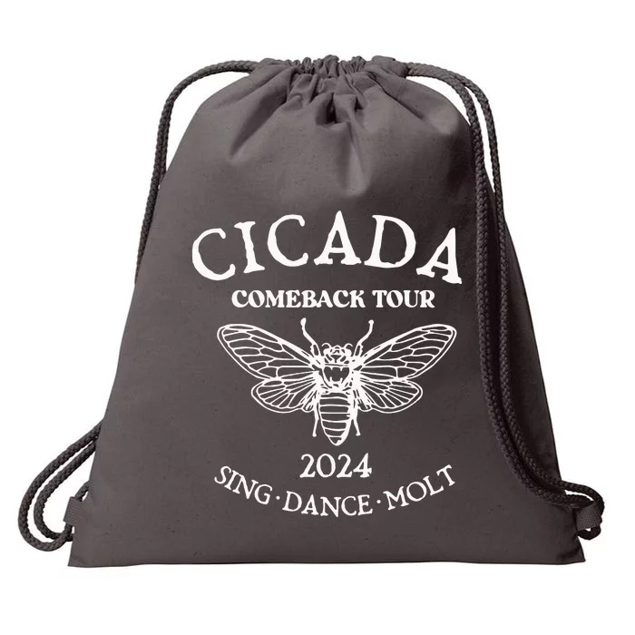 Cicada 2024 Cicada Reunion Funny Cicada Concert Drawstring Bag