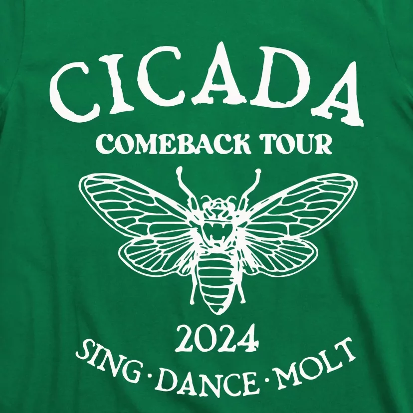 Cicada 2024 Cicada Reunion Funny Cicada Concert T-Shirt