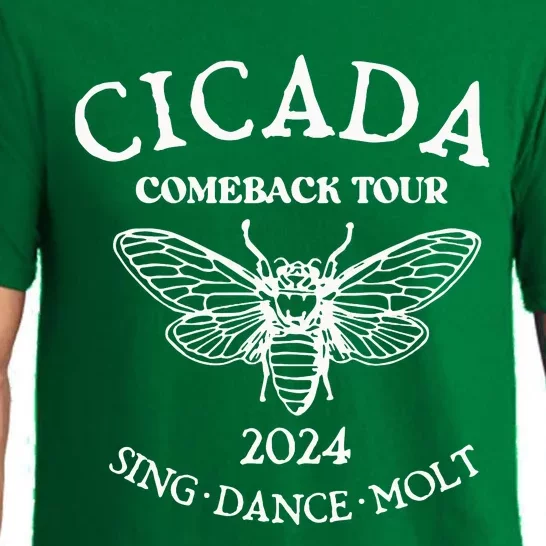 Cicada 2024 Cicada Reunion Funny Cicada Concert Pajama Set