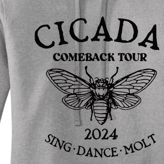 Cicada 2024 Cicada Reunion Funny Cicada Concert Women's Pullover Hoodie