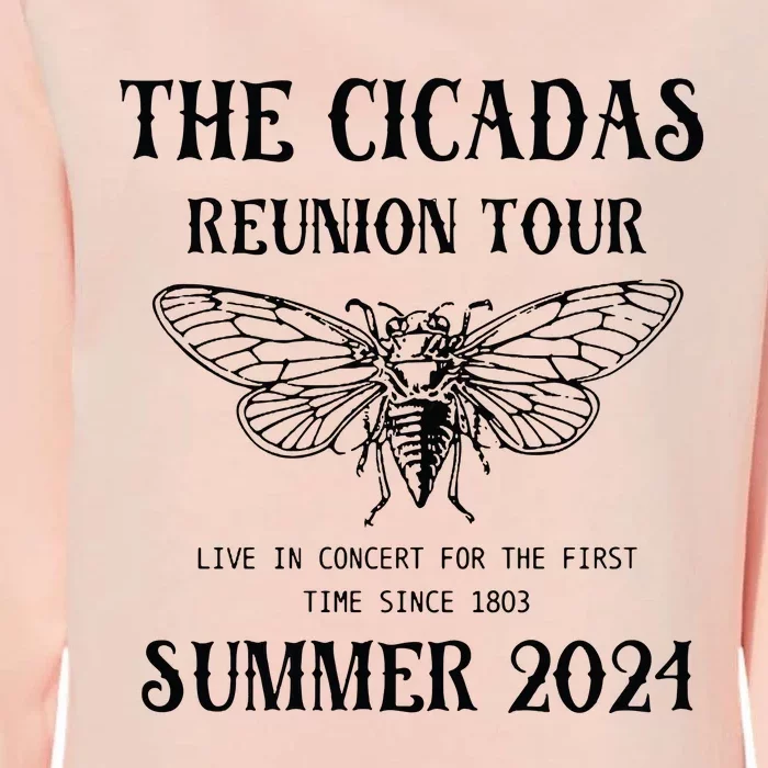 Cicada 2024 Cicada Reunion Funny Cicada Concert Womens California Wash Sweatshirt