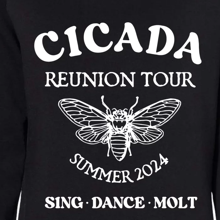 Cicada 2024 Cicada Reunion Funny Cicada Concert Womens California Wash Sweatshirt