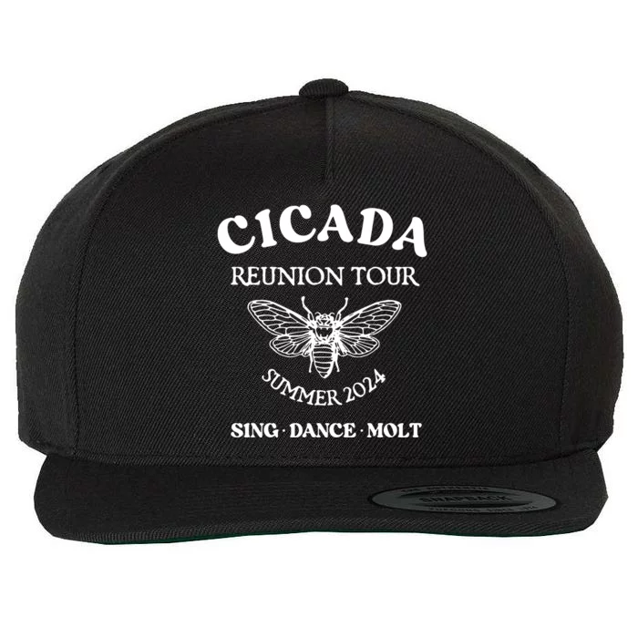 Cicada 2024 Cicada Reunion Funny Cicada Concert Wool Snapback Cap