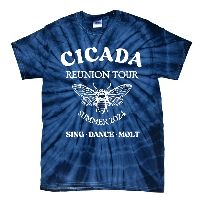 Cicada 2024 Cicada Reunion Funny Cicada Concert Tie-Dye T-Shirt