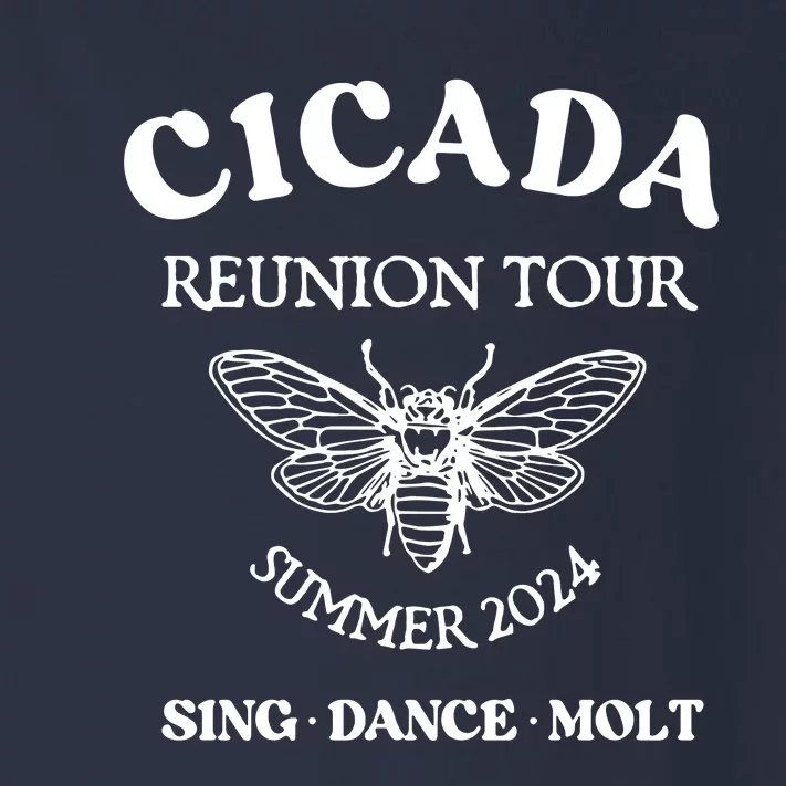 Cicada 2024 Cicada Reunion Funny Cicada Concert Toddler Long Sleeve Shirt