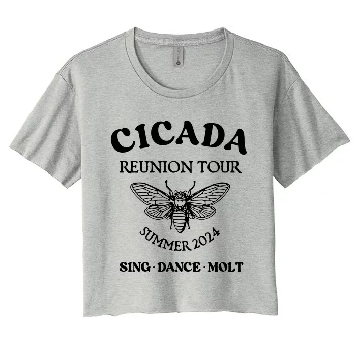 Cicada 2024 Cicada Reunion Funny Cicada Concert Women's Crop Top Tee