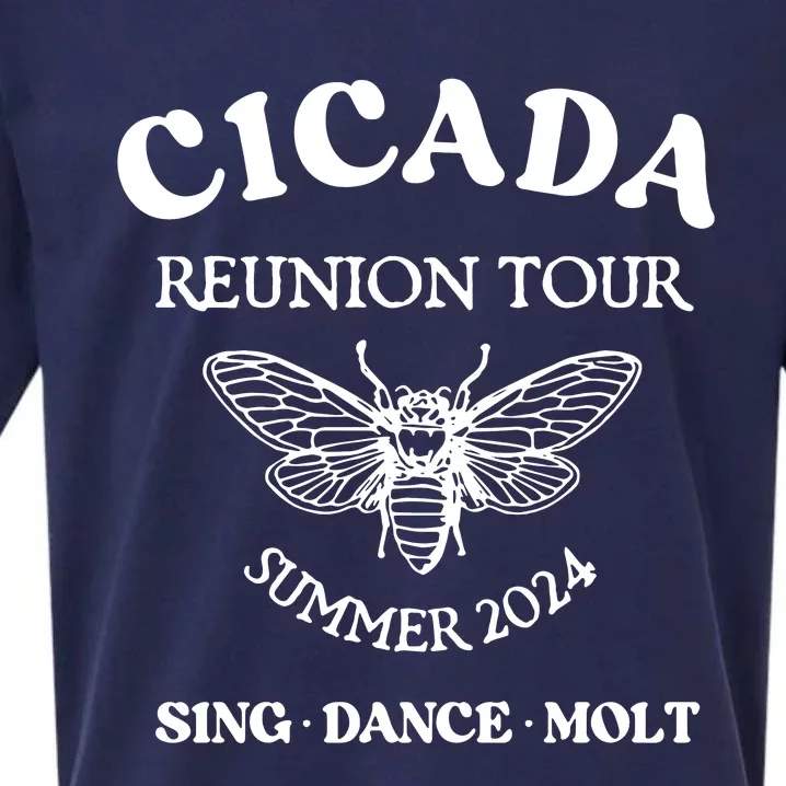 Cicada 2024 Cicada Reunion Funny Cicada Concert Sueded Cloud Jersey T-Shirt