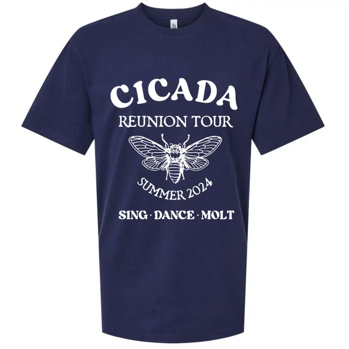 Cicada 2024 Cicada Reunion Funny Cicada Concert Sueded Cloud Jersey T-Shirt