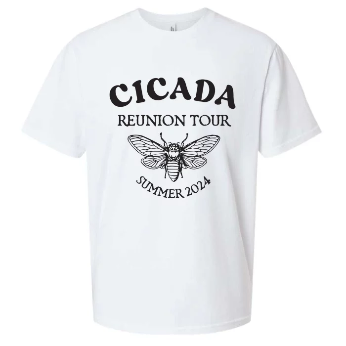 Cicada 2024 Cicada Reunion Funny Cicada Concert Sueded Cloud Jersey T-Shirt