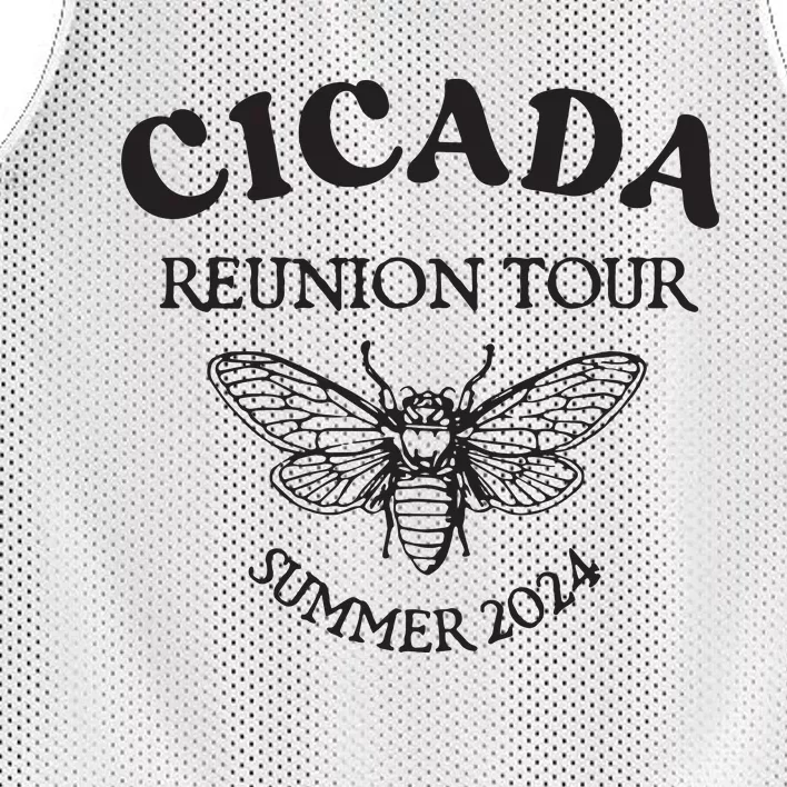 Cicada 2024 Cicada Reunion Funny Cicada Concert Mesh Reversible Basketball Jersey Tank