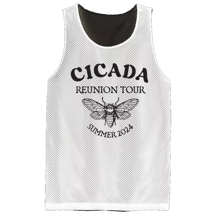 Cicada 2024 Cicada Reunion Funny Cicada Concert Mesh Reversible Basketball Jersey Tank