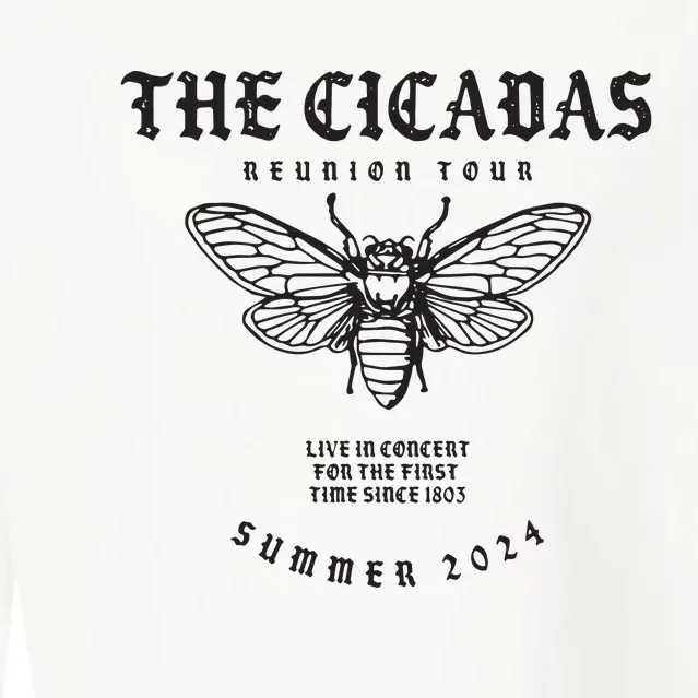 Cicada 2024 Funny Cicada Reunion Cropped Pullover Crew