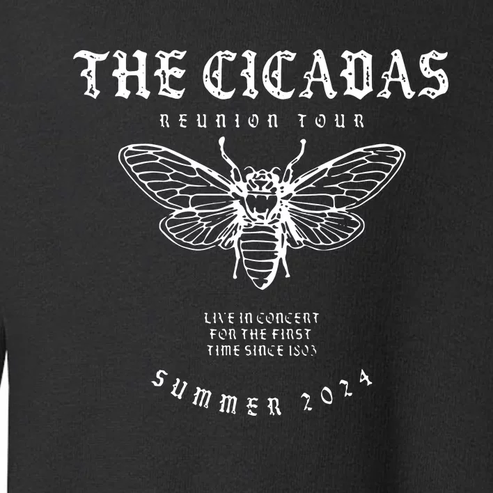 Cicada 2024 Funny Cicada Reunion Toddler Sweatshirt