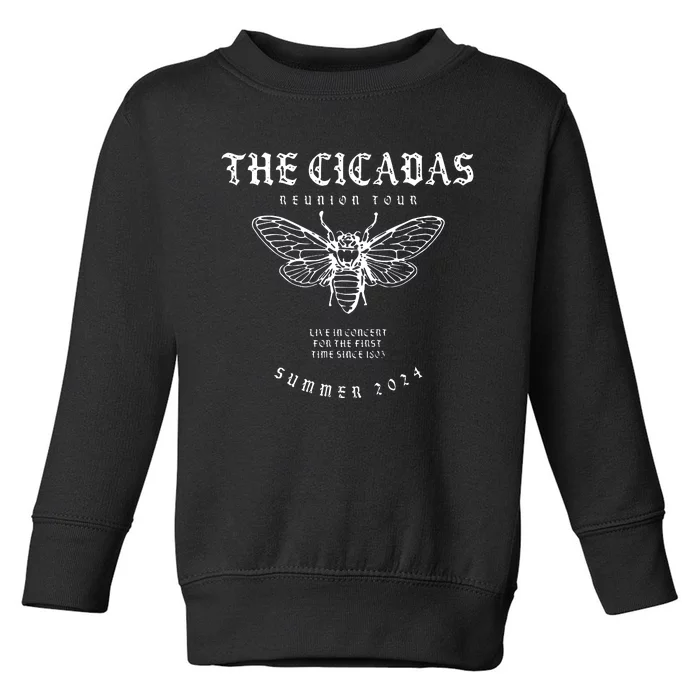 Cicada 2024 Funny Cicada Reunion Toddler Sweatshirt