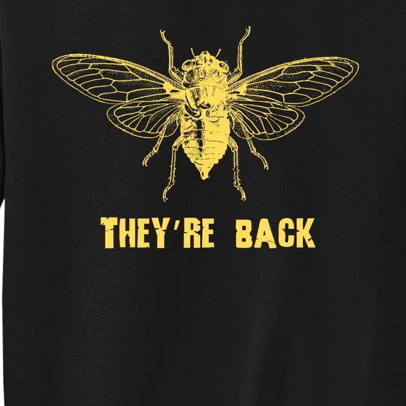 Cicada 2024 Invasion Double Emergence Tall Sweatshirt