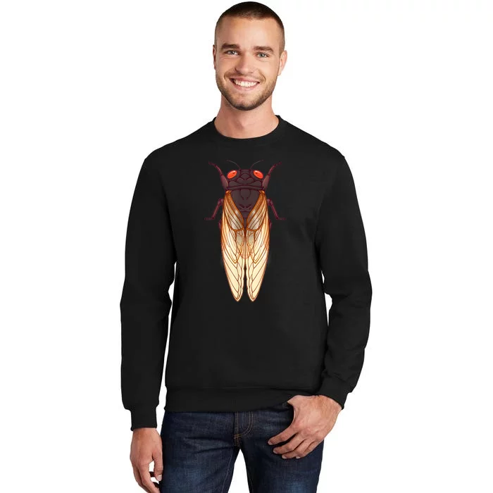 Cicada 2024 Invasion Emergence Swarm Brood Xiii Xix Tall Sweatshirt