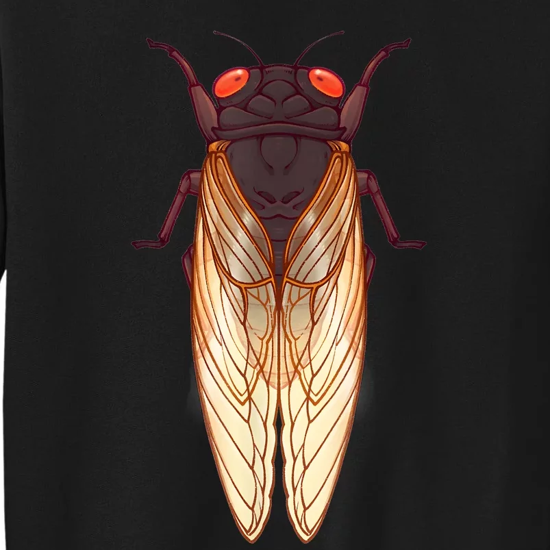 Cicada 2024 Invasion Emergence Swarm Brood Xiii Xix Tall Sweatshirt