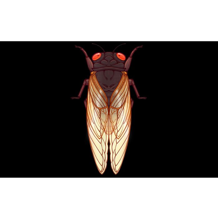 Cicada 2024 Invasion Emergence Swarm Brood Xiii Xix Bumper Sticker