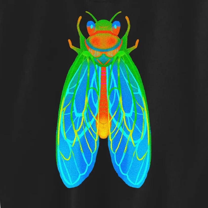 Cicada 2024 Invasion Double Emergence Kids Sweatshirt