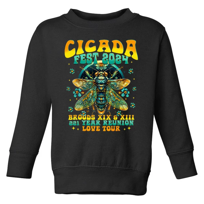 Cicada 2024 Insect Cicada Lover Toddler Sweatshirt