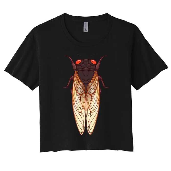 Cicada 2024 Invasion Emergence Swarm Brood Xiii Xix Women's Crop Top Tee