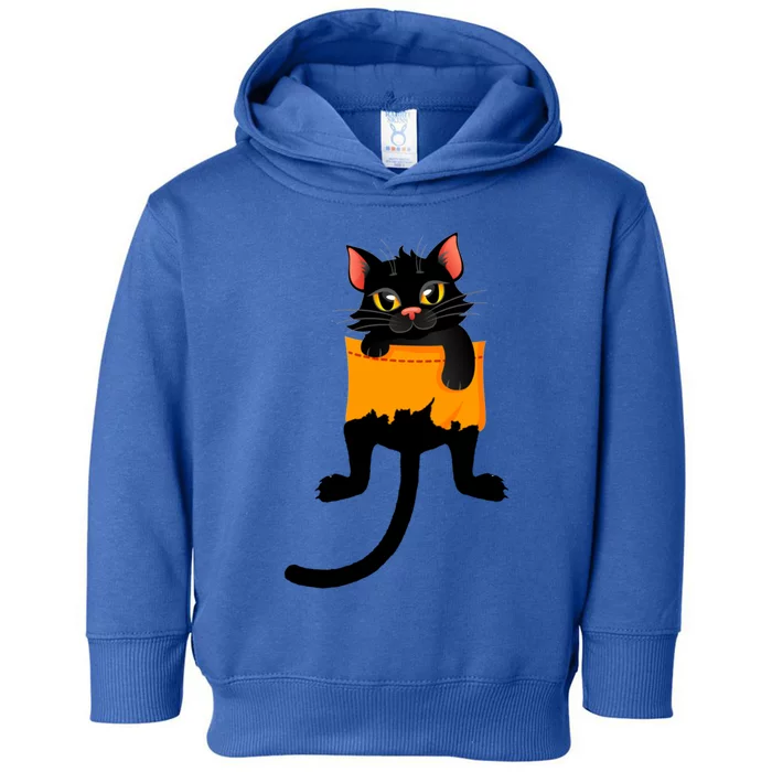 Cats 365 Cute Black Kitty In Pocket Cats Funny Gift Cute Gift Toddler Hoodie