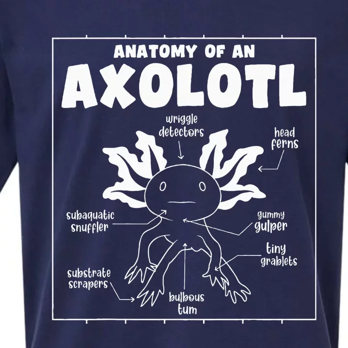 Cute Axolotl Anatomy Of An Axolotl Sueded Cloud Jersey T-Shirt