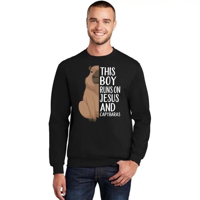 Capybara Art Animal For Capybara Lovers Sweatshirt