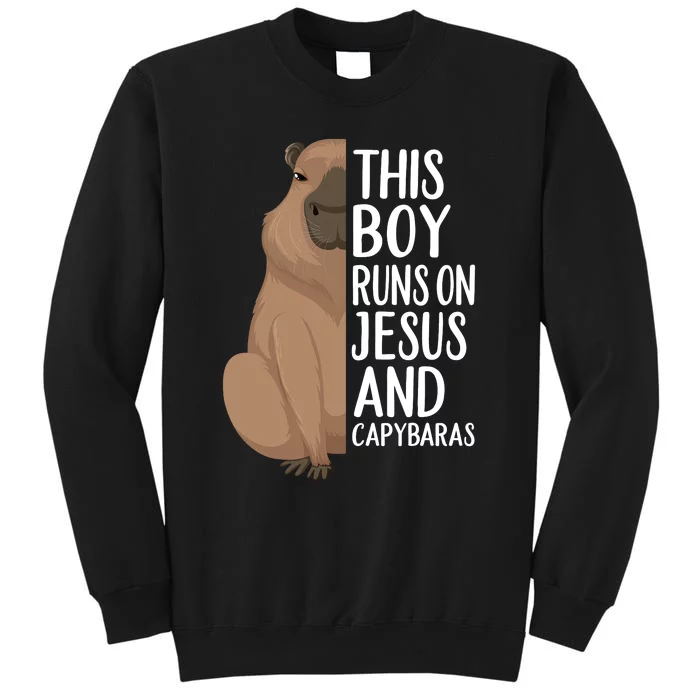 Capybara Art Animal For Capybara Lovers Sweatshirt