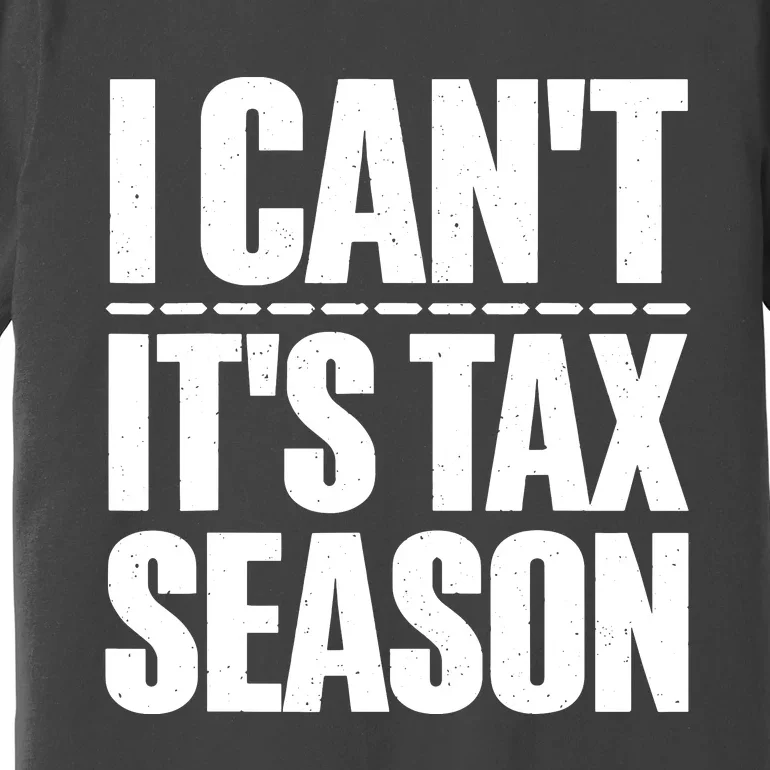 Cool Accountant Art For Men Women Accounting Tax Analyst Premium T-Shirt