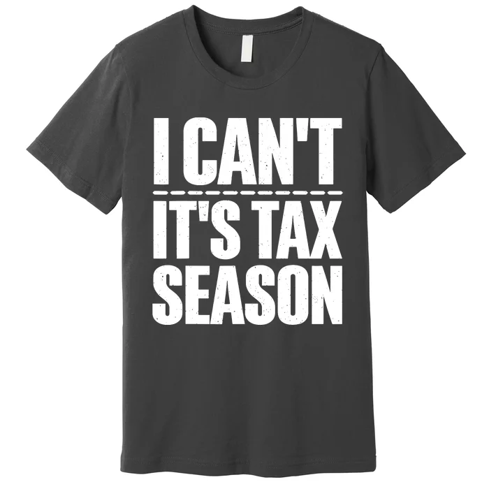 Cool Accountant Art For Men Women Accounting Tax Analyst Premium T-Shirt