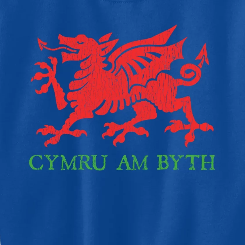 Cymru Am Byth Welsh Rugby Dragon Wales Player Pride Funny Gift Cool Gift Kids Sweatshirt