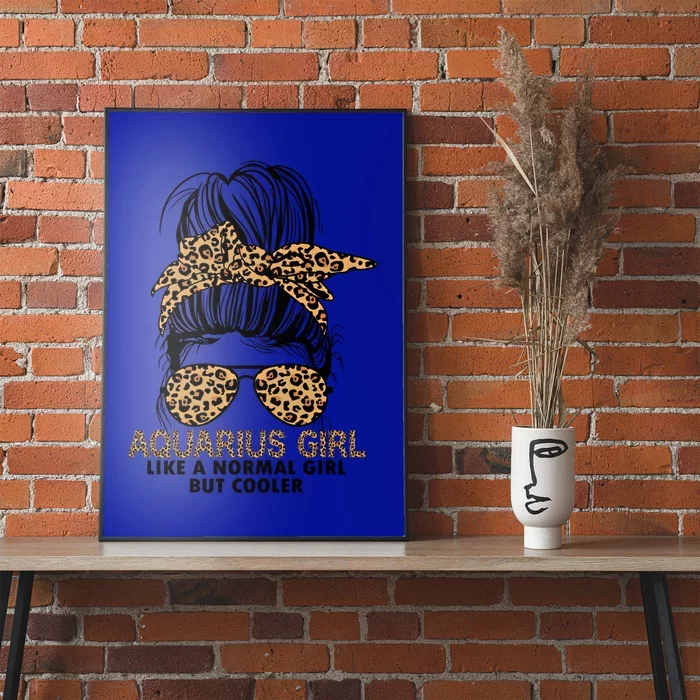 Cool Aquarius Birthday January February Aquarius Funny Gift Poster