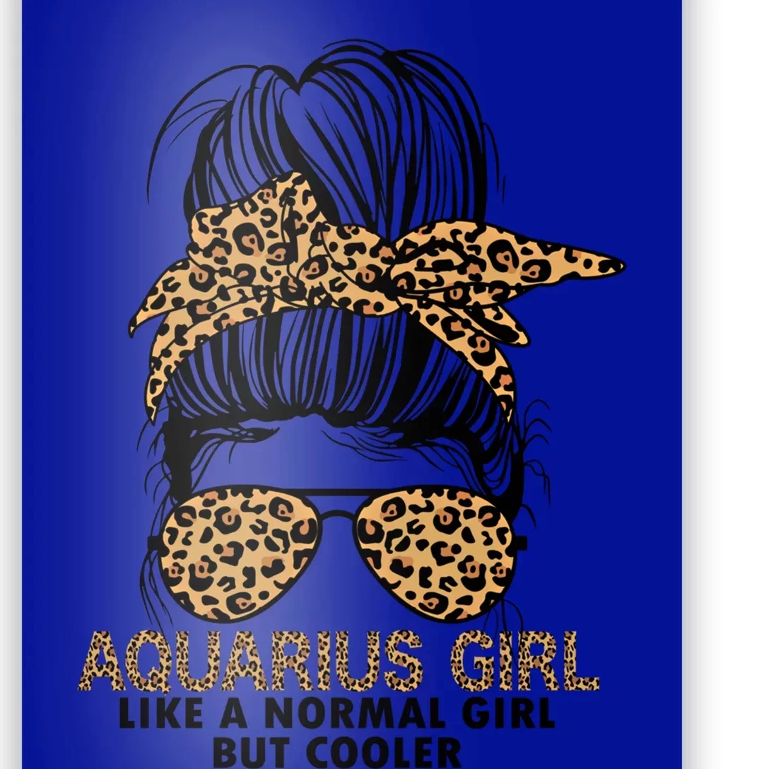 Cool Aquarius Birthday January February Aquarius Funny Gift Poster