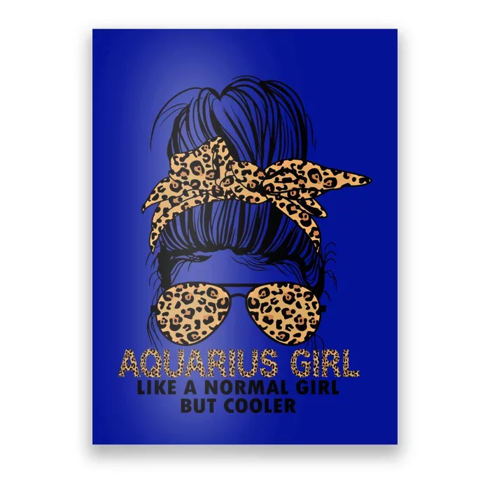 Cool Aquarius Birthday January February Aquarius Funny Gift Poster