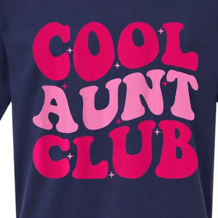 Cool Aunt Club Funny Aunt Apparel Cute Aunt Groovy Women Sueded Cloud Jersey T-Shirt