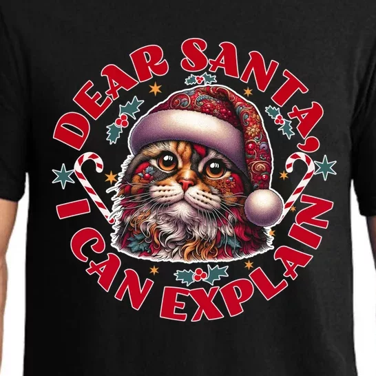 Christmas Apologetic Cat Dear Santa I Can Explain Funny Gift Pajama Set