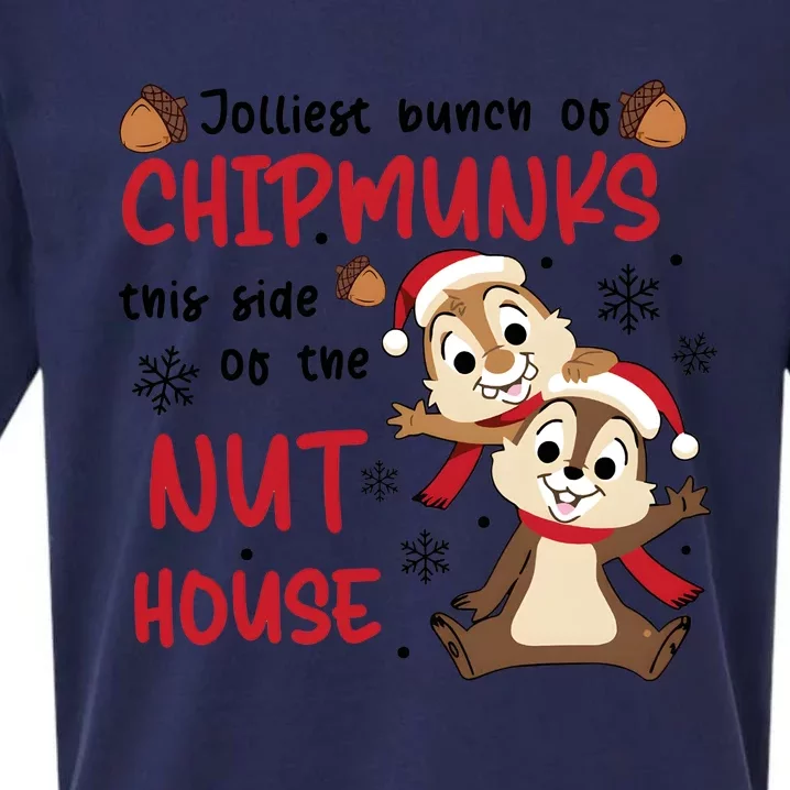 Chip And Dale Jolliest Bunch Of Chipmunks This Side On The Nut House Sueded Cloud Jersey T-Shirt