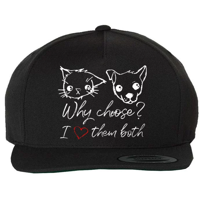 Cat And Dog Lover: I Love Puppies And Kittens Wool Snapback Cap