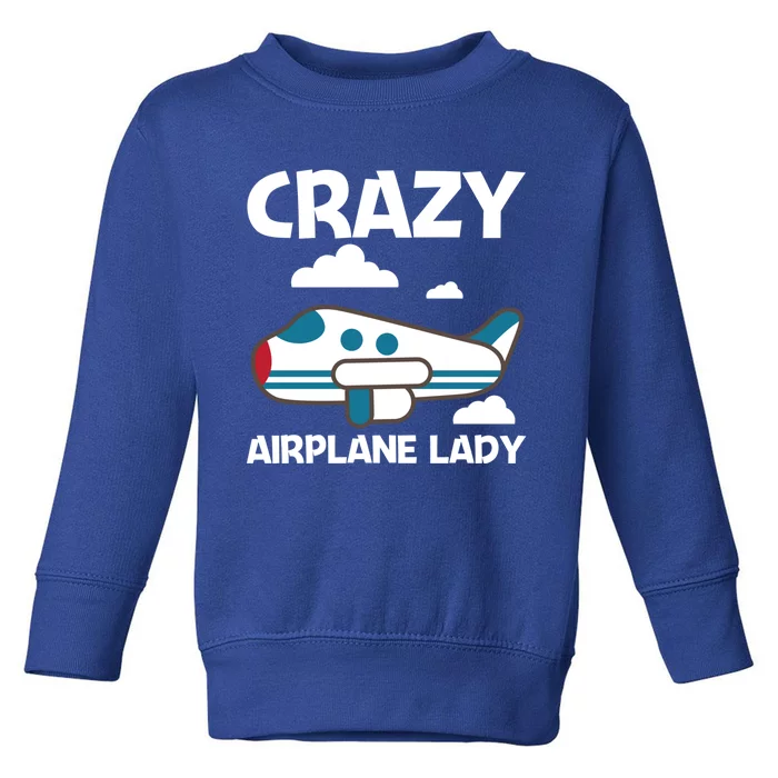 Cool Airplane Design Mom Aviation Plane Lovers Gift Toddler Sweatshirt