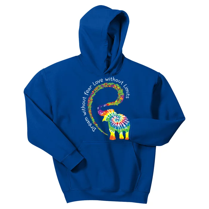 Cute Autism Elephant Autism Awareness Day Cute Gift Kids Hoodie