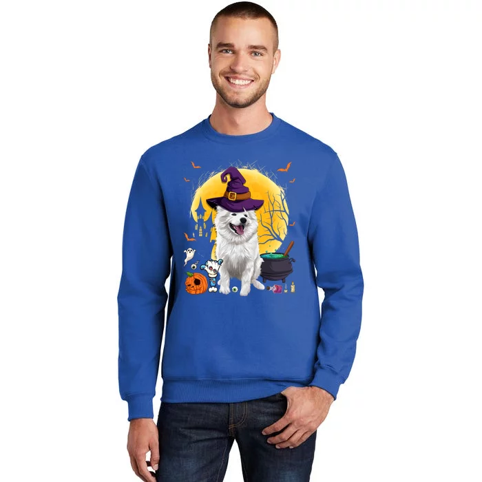 Cute American Eskimo Witch Pumpkin Halloween Dog Lover Gift Tall Sweatshirt