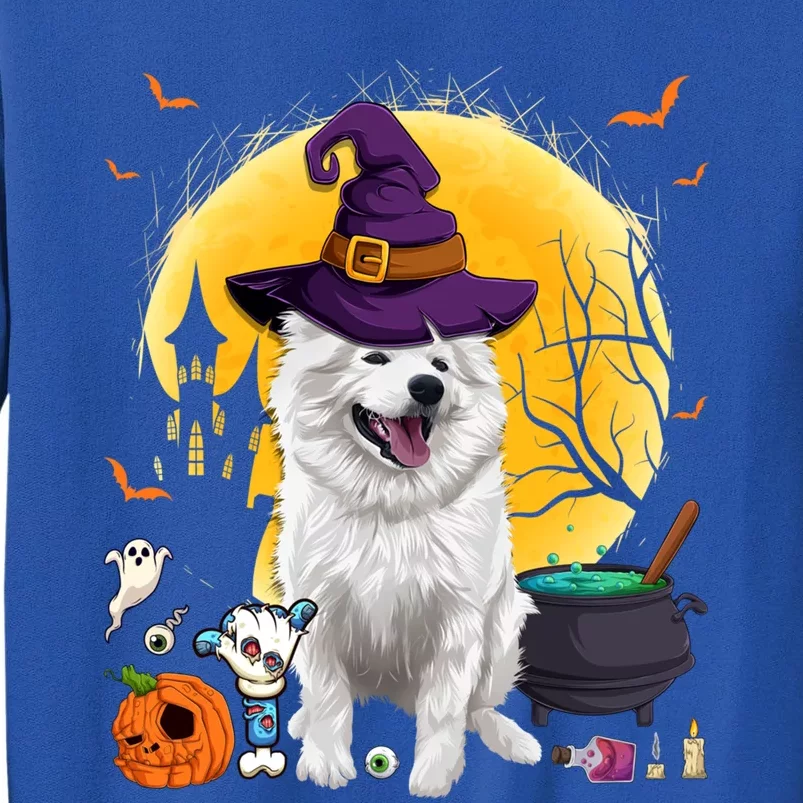 Cute American Eskimo Witch Pumpkin Halloween Dog Lover Gift Tall Sweatshirt