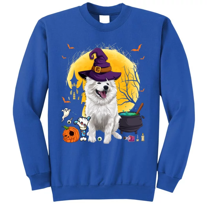 Cute American Eskimo Witch Pumpkin Halloween Dog Lover Gift Tall Sweatshirt