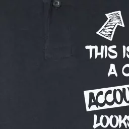 Cool Accountant Funny Saying Accountants Bookkeepers Softstyle Adult Sport Polo