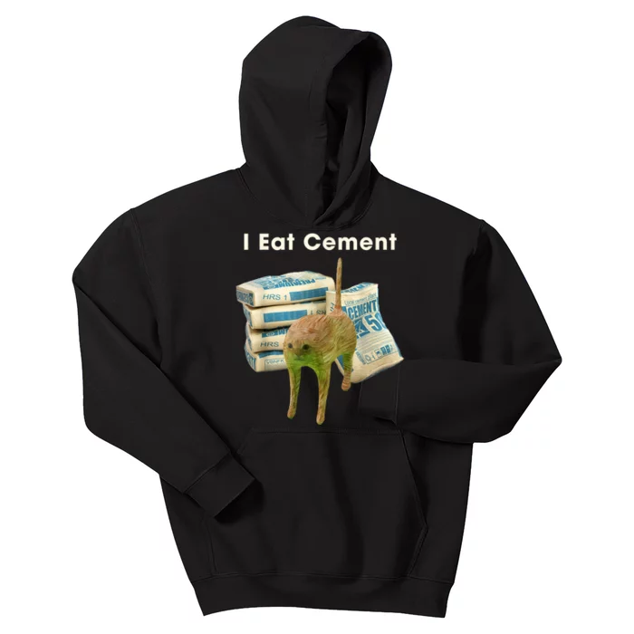 Classic Art Funny Catmeme Colorful Portrait I Eat Cement Kids Hoodie