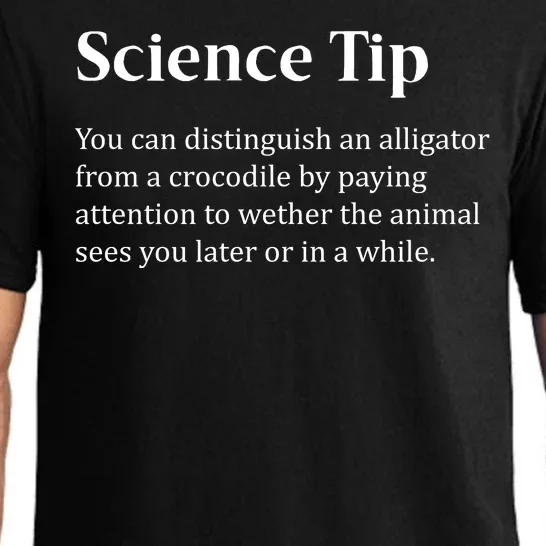 Crocodile Alligator Funny Science Tip Pajama Set