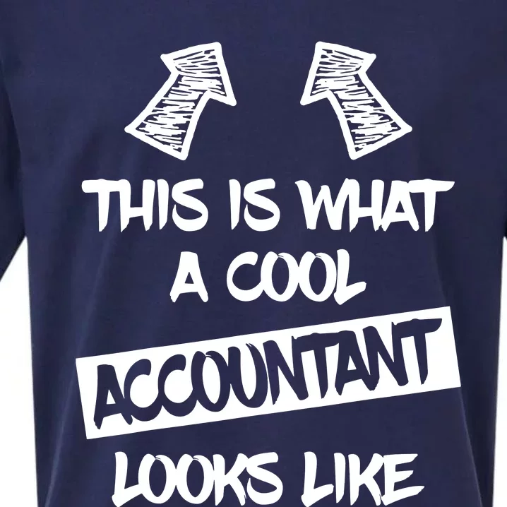 Cool Accountant Funny Saying Accountants Bookkeepers Sueded Cloud Jersey T-Shirt