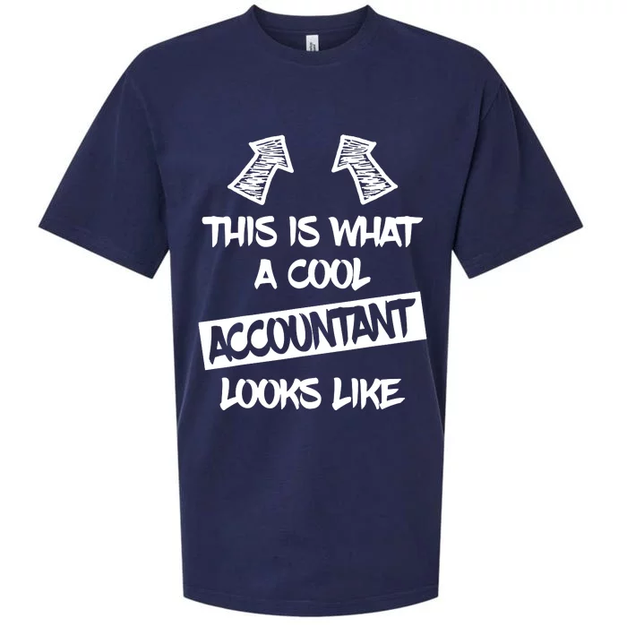 Cool Accountant Funny Saying Accountants Bookkeepers Sueded Cloud Jersey T-Shirt