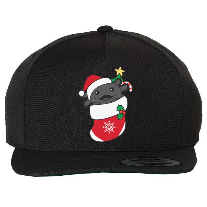 Cute Axolotl For Christmas Axolotl Wool Snapback Cap